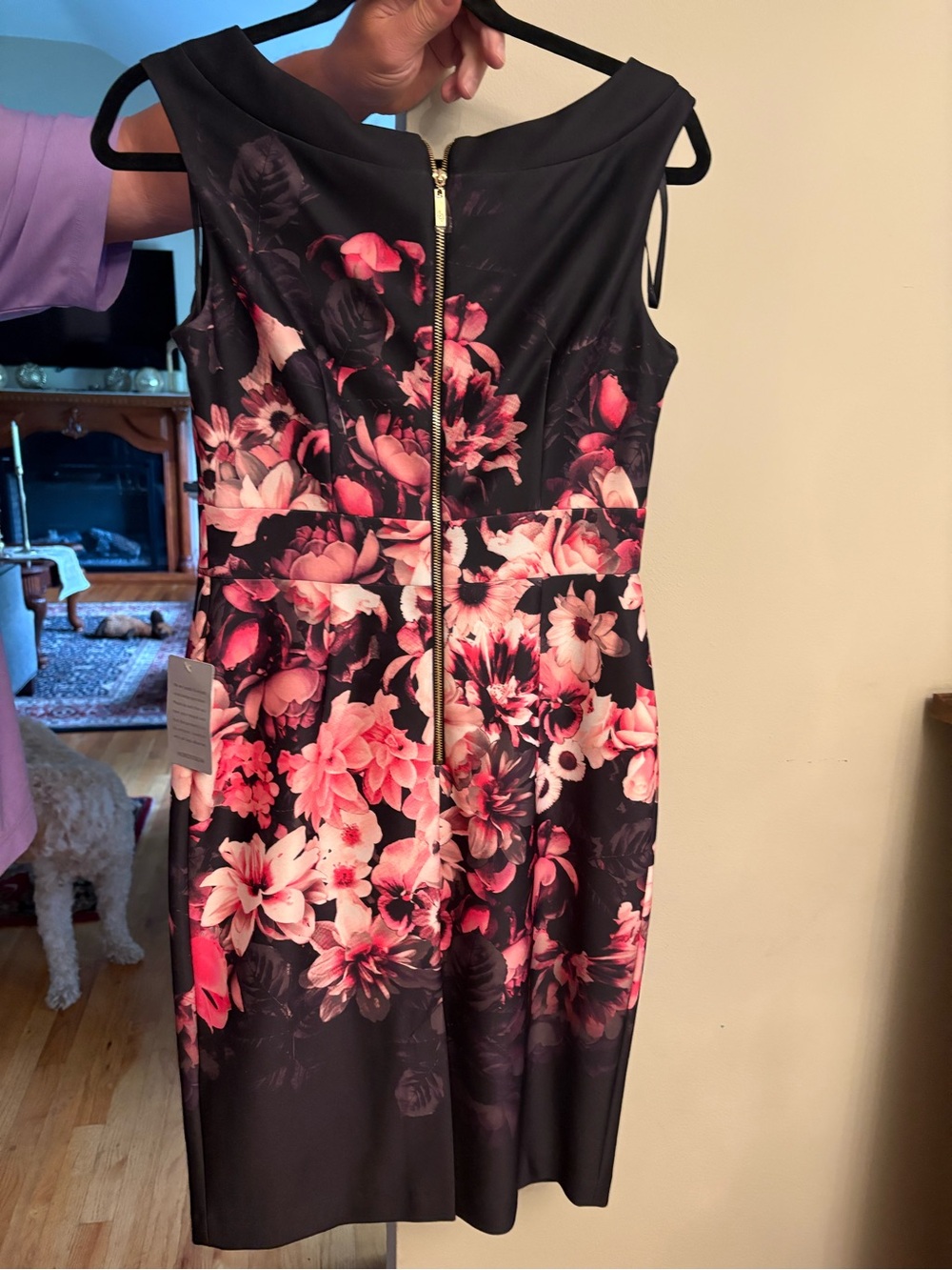Eliza J Black Midi Dress with Pink Floral Print